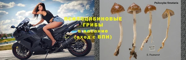 мяу мяу мука Алексин