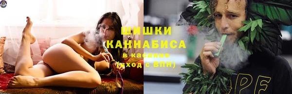 ГАЛЛЮЦИНОГЕННЫЕ ГРИБЫ Алзамай