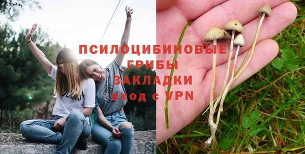 ГАЛЛЮЦИНОГЕННЫЕ ГРИБЫ Алзамай