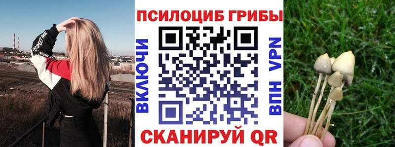 гидра ССЫЛКА  Гдов  Псилоцибиновые грибы Cubensis 